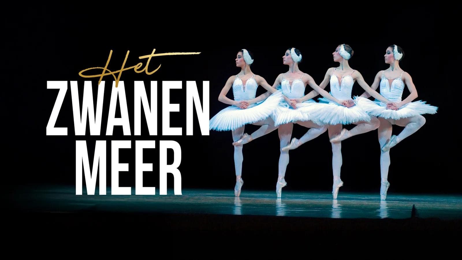 Het Zwanenmeer